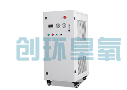 乐亭石斑鱼养殖水质调控完整指南：臭氧发生器配置与操作步骤