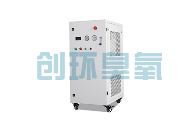 乐亭比传统换水更高效？臭氧发生器在石斑鱼养殖中的水质净化原理解析