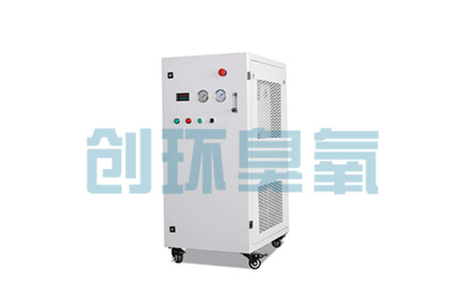 乐亭比传统换水更高效?臭氧发生器在石斑鱼养殖中的水质净化原理解析